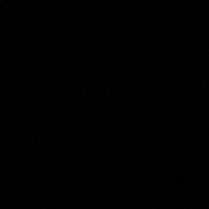 Meet your Posher, Maggie